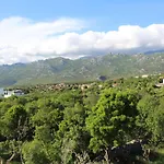 Bonaca