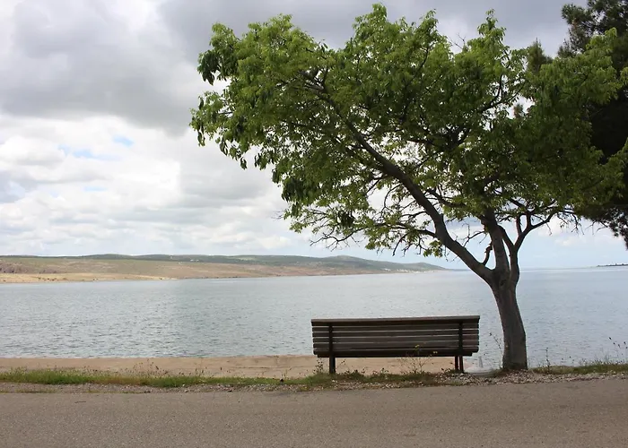 Bonaca 로바니스카