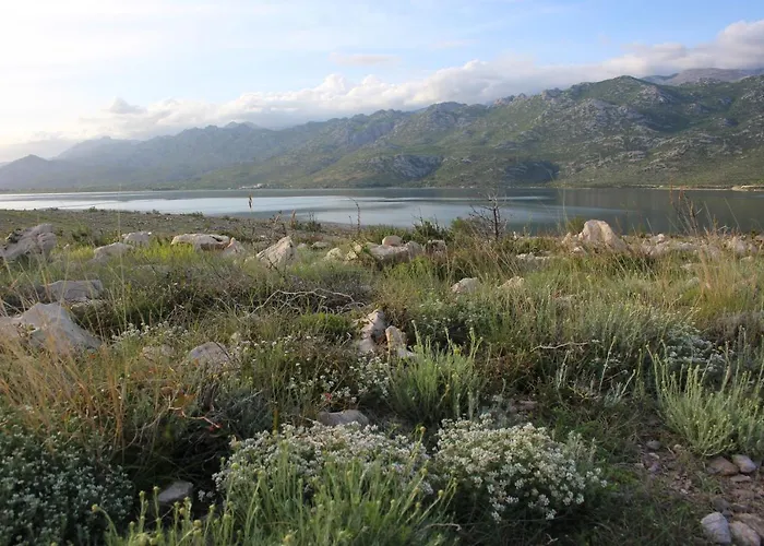 Апартаменты Bonaca